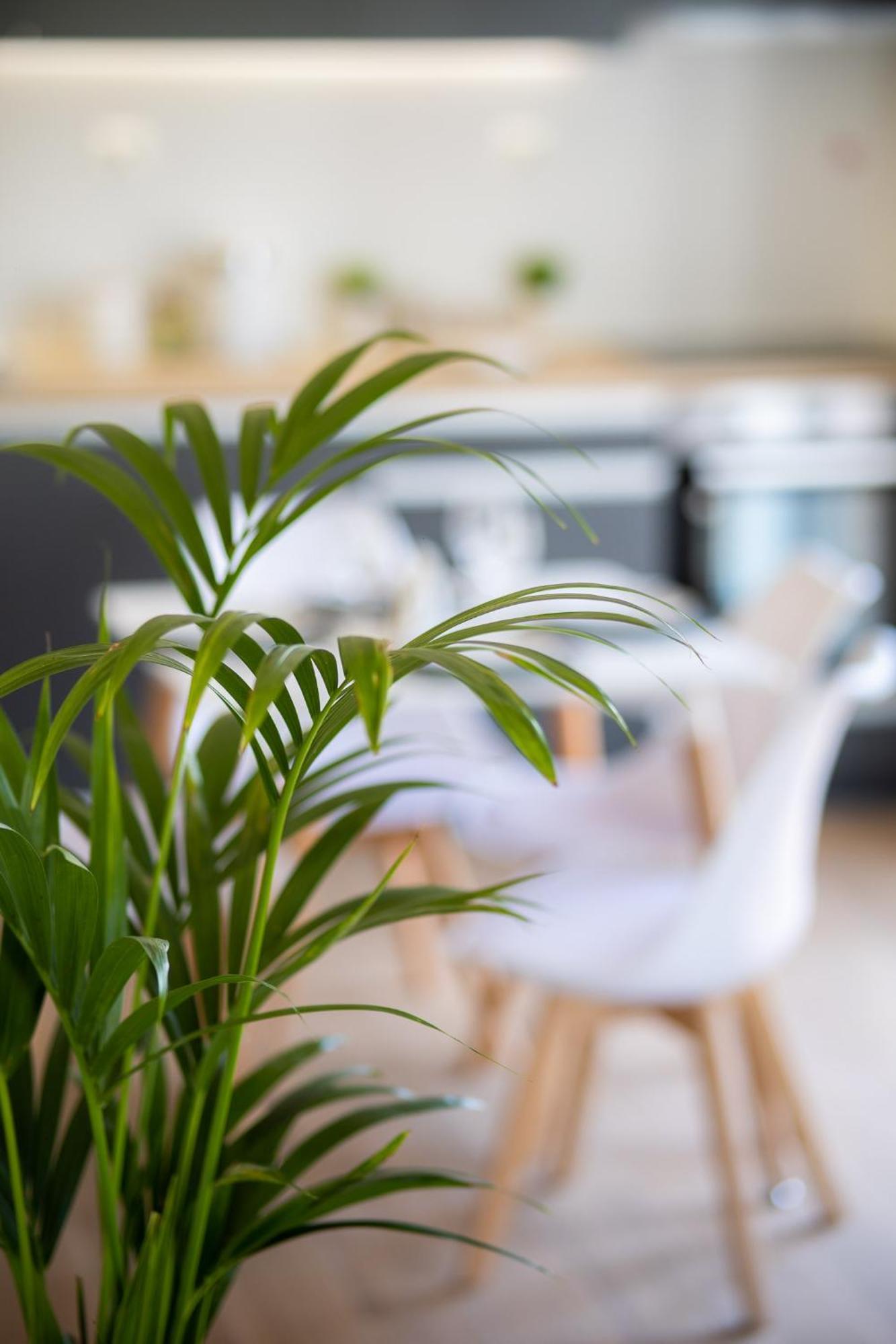Volos Horizon Oasis Apartment #1 Εξωτερικό φωτογραφία